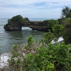 Meet your Posher, Dakota